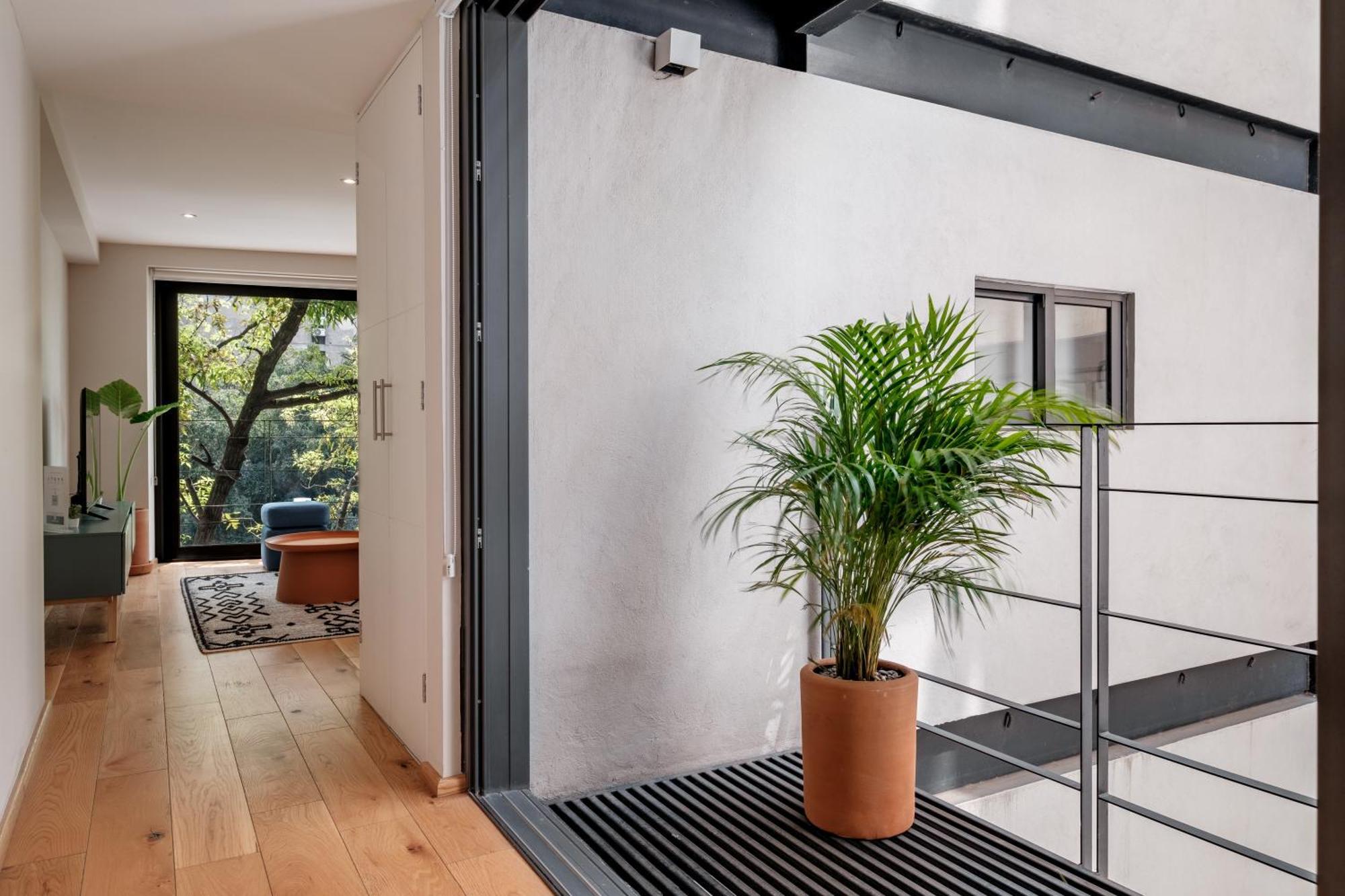 Modern Apartments La Condesa Pet Friendly Mexiko-Stadt Exterior foto